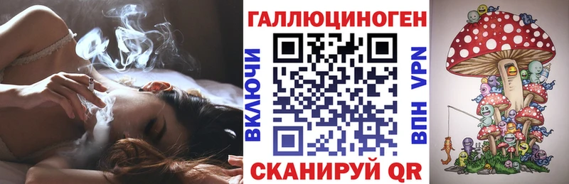 купить наркотики сайты  Райчихинск  Галлюциногенные грибы Psilocybe 